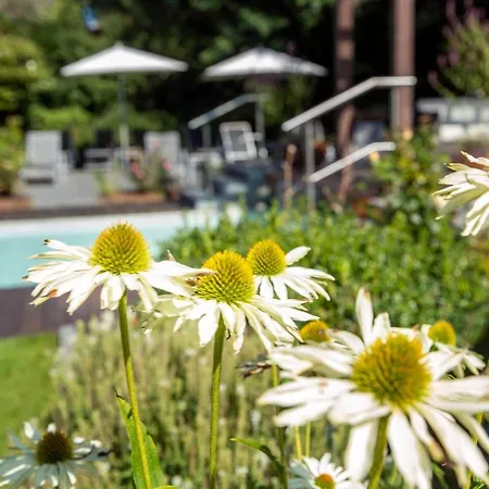 Hotel Haus Becker 3*