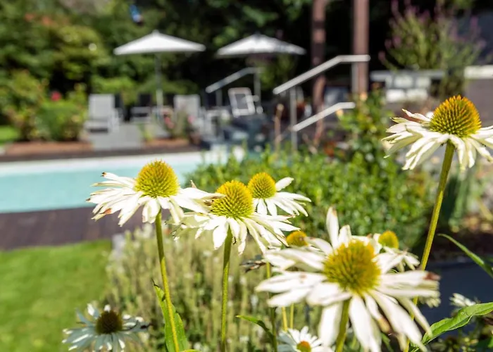 Hotel Haus Becker 3*